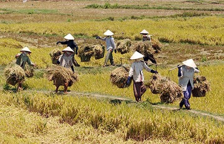Hotspot Matrix: Nâng tầm sáng tạo, giải phóng gánh nặng vận hành