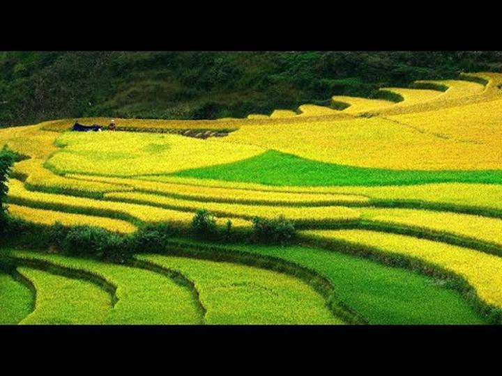 Không thể nhận ra Châu Kiệt - Cảm hứng video marketing từ Hotspot Matrix