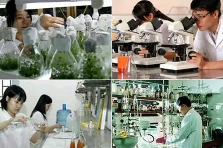 Hotspot Matrix: Biến Các nhà khoa học phân tích thành cơ hội marketing đột phá